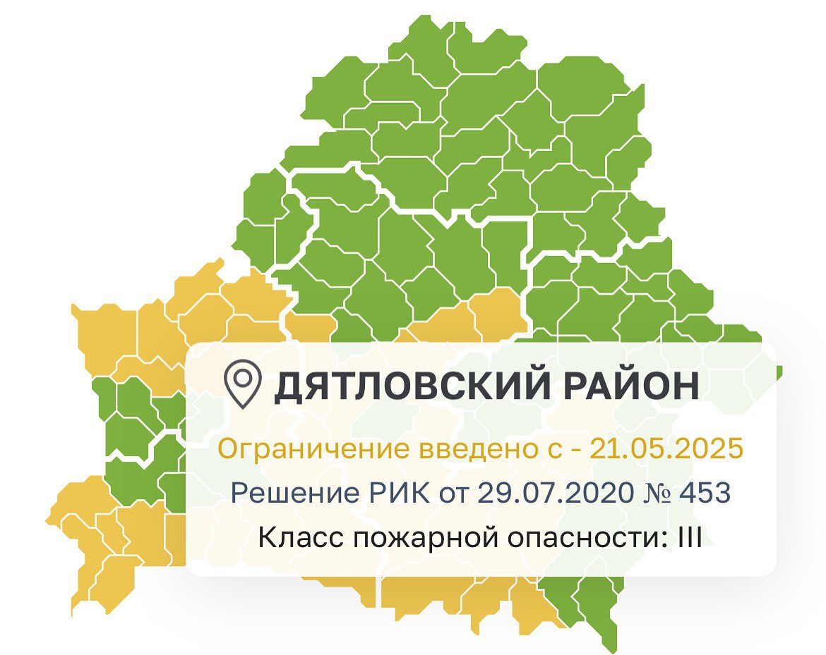 Введено ограничение на посещение лесов