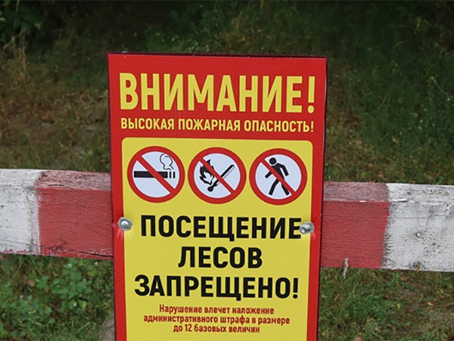 Запрет на посещение лесов