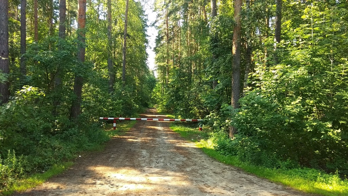 Внимание! Введено ограничение на посещение лесов.