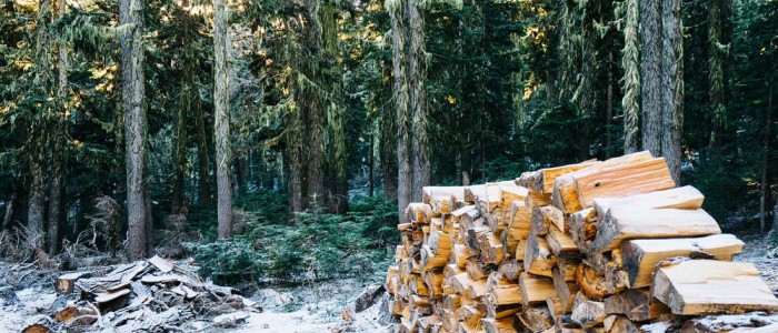 Реализация дров населению. Порядок осуществления самозаготовки дров.