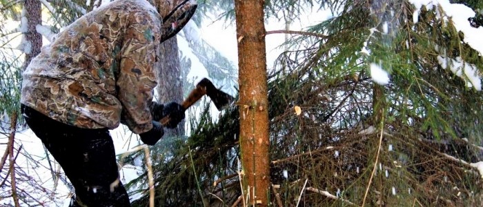 В канун новогодних праздников усилена охрана лесного фонда