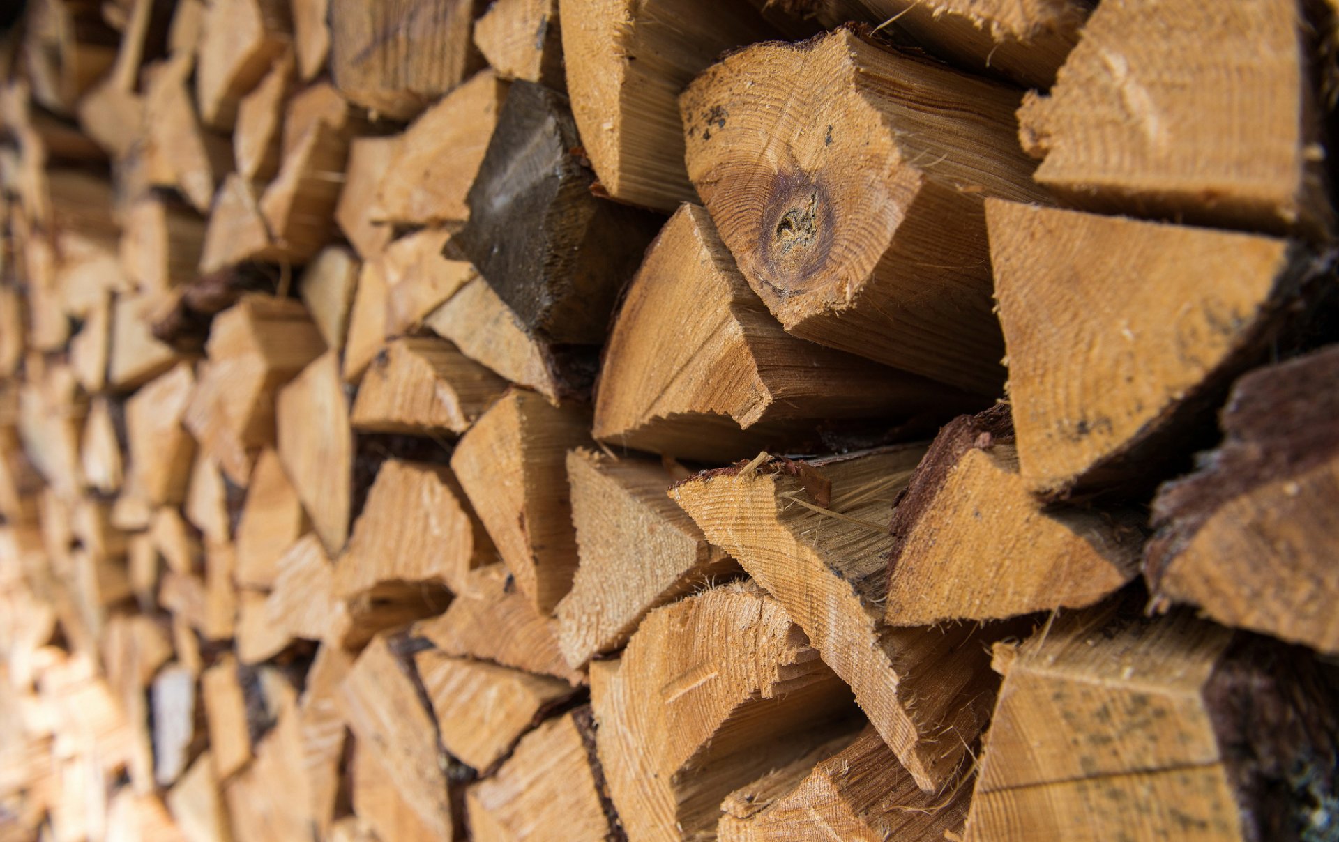 Совмин определил юрлиц, которые могут покупать дрова вне биржевых торгов