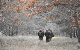 Об открытии загонной охоты и безопасности при проведении охот